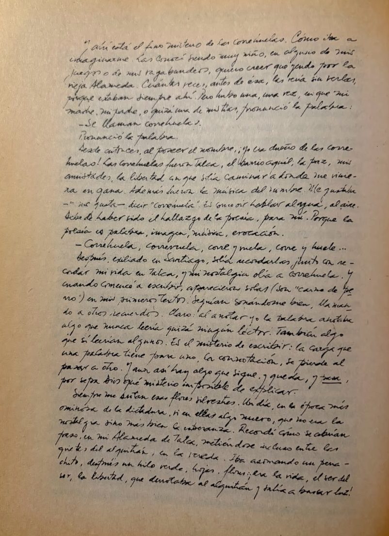 Manuscrito.